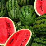 How to Start a Profitable Watermelon Business in Nigeria