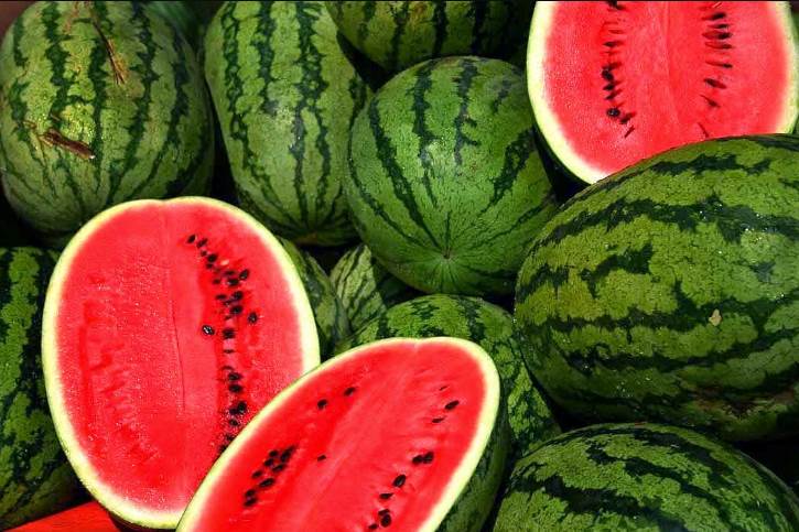 How to Start a Profitable Watermelon Business in Nigeria