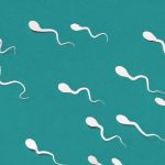 Low Sperm Counts - Causes, Symptoms, Cures, Overview
