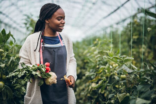 10 Profitable Agricultural Business in Nigeria